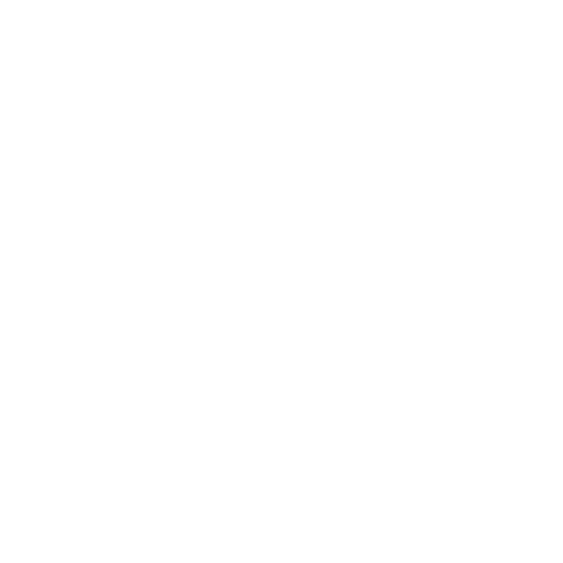 logo_v_footer